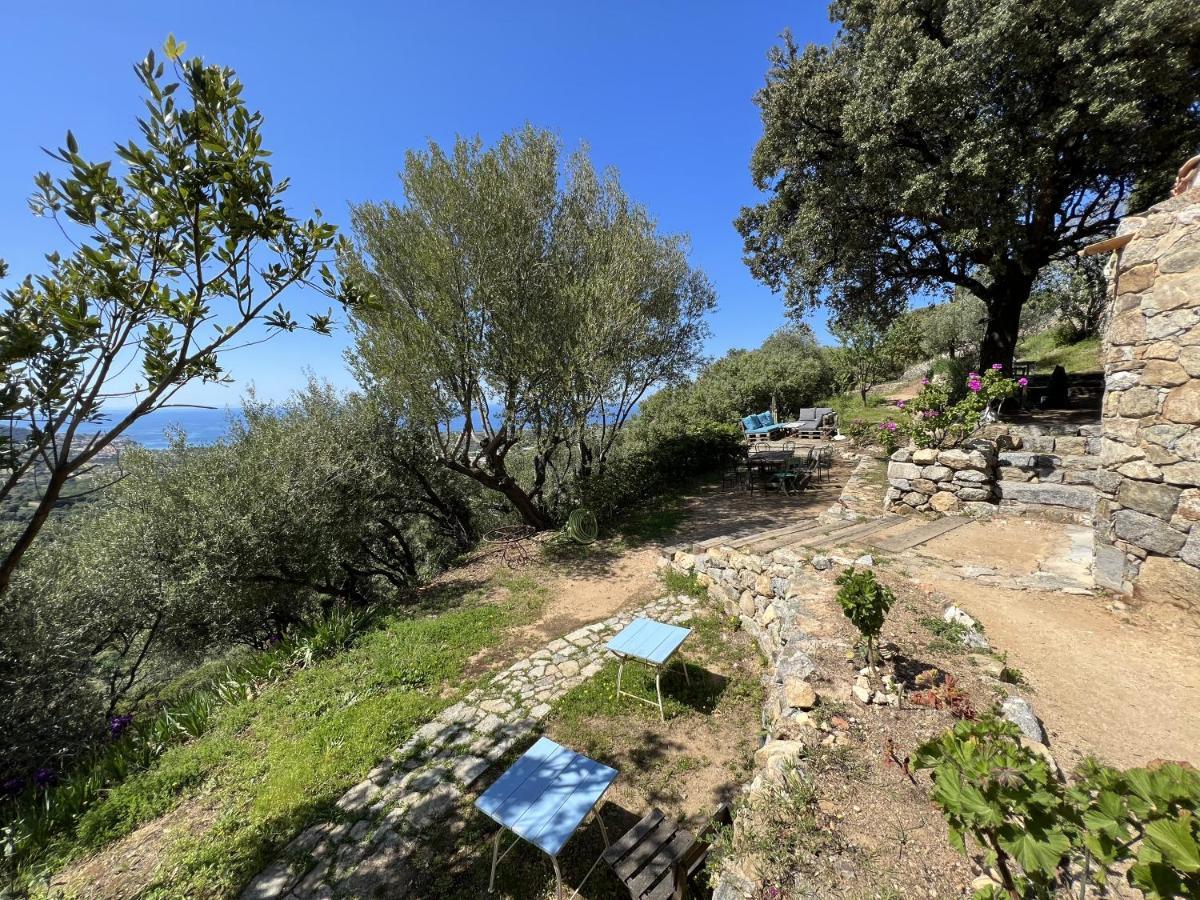 Casa Musicale Hotel Pigna Bagian luar foto